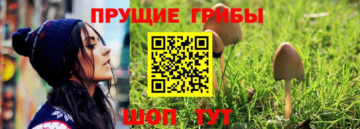 Псилоцибиновые грибы GOLDEN TEACHER Нальчик