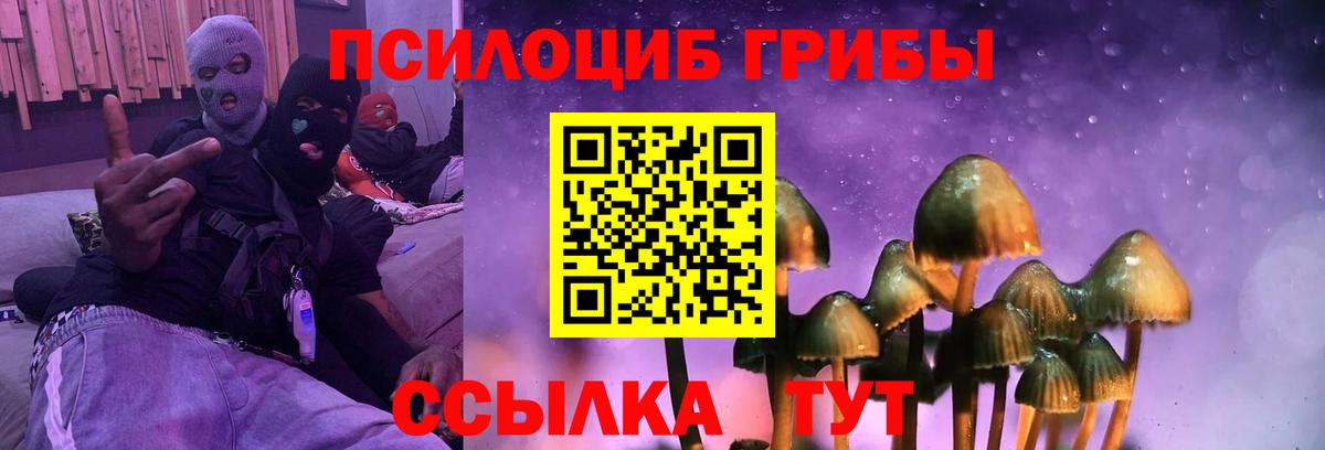 Псилоцибиновые грибы Psilocybine cubensis  Вход с VPN  Нальчик  где продают   Псилоцибиновые грибы Psilocybine cubensis 